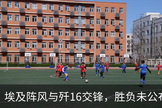 埃及阵风与歼16交锋，胜负未公布，中方率先开口：埃方技术过硬
