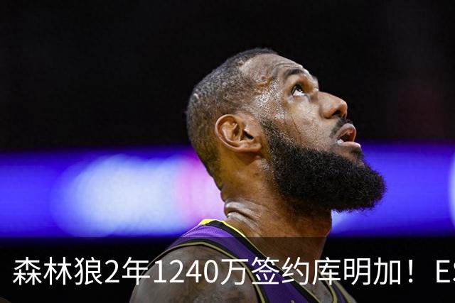 森林狼2年1240万签约库明加！ESPN评级A-：合理价格找到合适人选